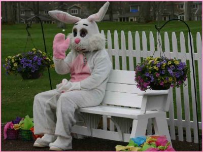 easter-bunny easter-bunny