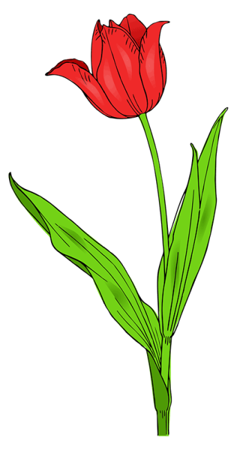 mothers-day-2023-rose mothers-day-2023-rose