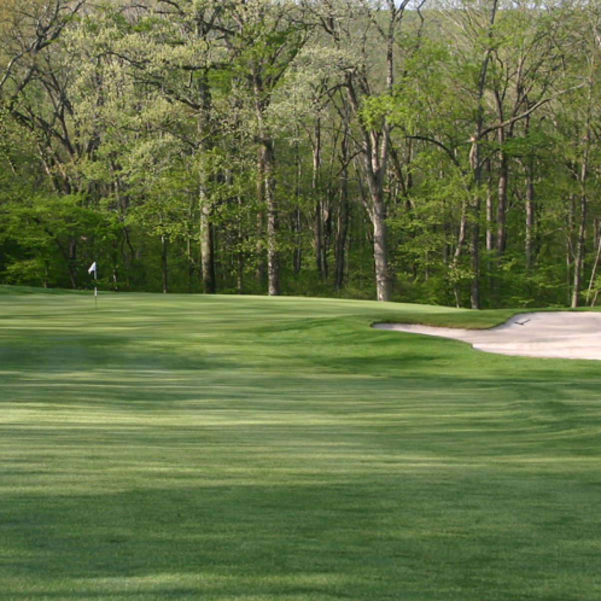 Private Public And Semi private Golf Courses What s The Difference