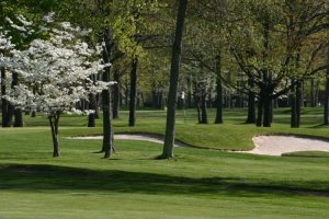 Bowling Green Golf Hole 8 